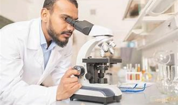 Lab